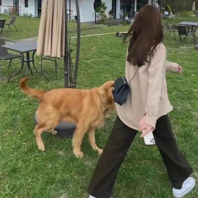 剧透预警