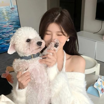 陆贞传奇